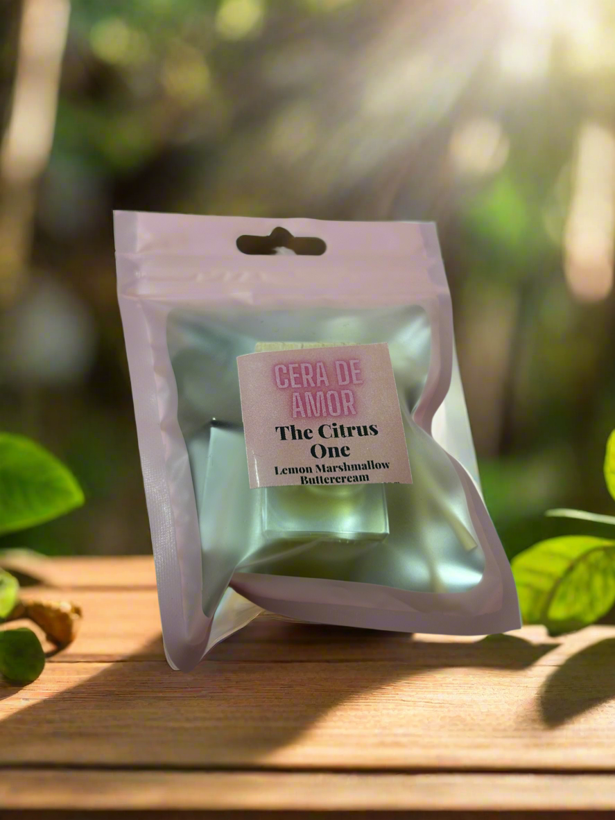 Car Reed Diffuser